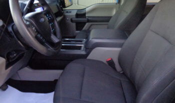 FORD F-150 XL STX CREW CAB full