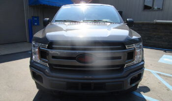 FORD F-150 XLT SUPER CREW CAB full