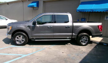 FORD F-150 XLT SUPER CREW CAB full