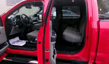 FORD F-150 XLT SUPER CREW CAB full