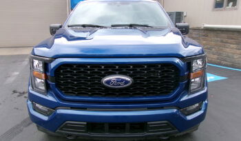 FORD F-150 STX SUPER CREW CAB full