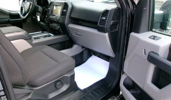 FORD F-150 XL STX SUPER CREW CAB full