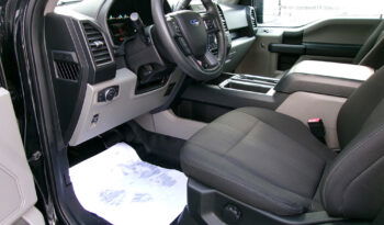 FORD F-150 XL STX SUPER CREW CAB full