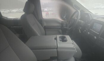 FORD F-150 XLT SUPER CREW full