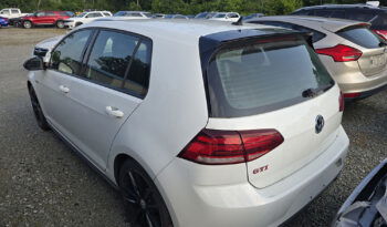 VOLKSWAGEN GTI S full