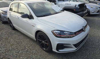 VOLKSWAGEN GTI S full